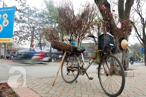 Hà Nội: Hoa đào nhộn nhịp xuống phố trong giá lạnh 21