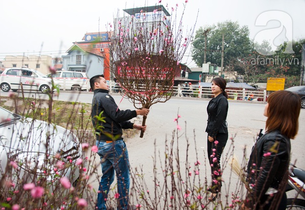 Hà Nội: Hoa đào nhộn nhịp xuống phố trong giá lạnh 14