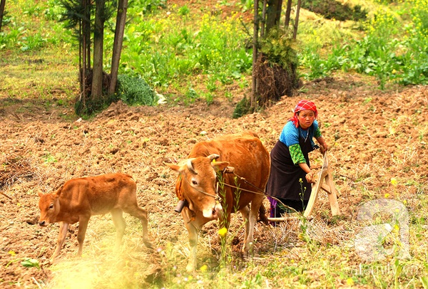 Tới nơi người dân bắt 