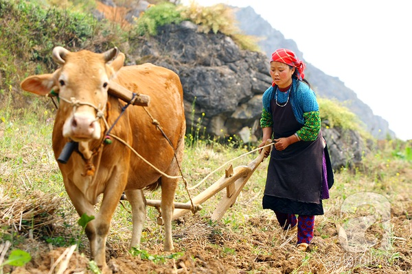 Tới nơi người dân bắt 