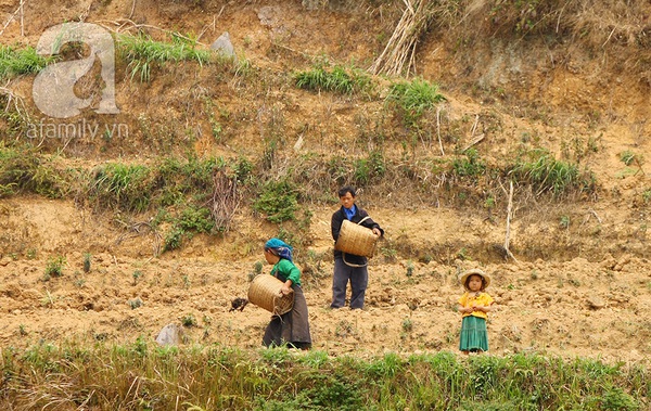 Tới nơi người dân bắt 