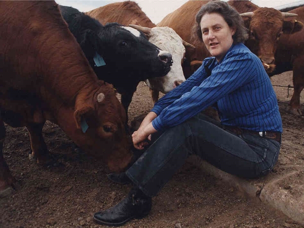 Temple Grandin - người phụ nữ tự kỷ làm nên kì tích 4