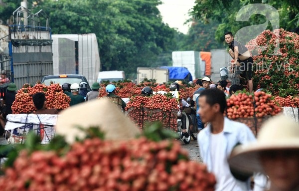 Giao thông tắc nghẽn vì người dân chở vải Lục Ngạn ùa ra khắp đường 4