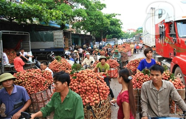 Giao thông tắc nghẽn vì người dân chở vải Lục Ngạn ùa ra khắp đường 6