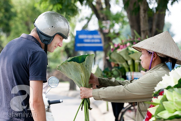 Thảnh thơi thưởng thức nét đẹp bình dị của sen Hà thành 6