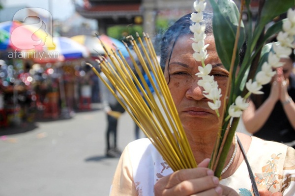 Ngày Vu Lan, người dân chờ hàng giờ hứng hoa sa la rụng