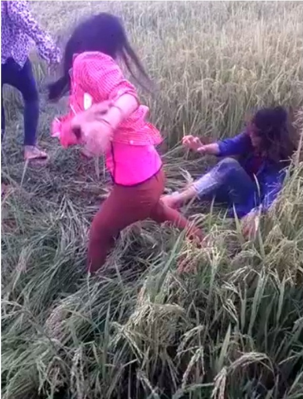 Bức xúc 2 nữ sinh đánh nhau chết cả ruộng lúa của nông dân