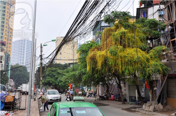 Hà Nội: Rùng mình qua các tuyến đường cột điện trực đổ vào người