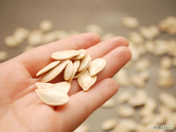 B&iacute; ng&ocirc; mini - &yacute; tưởng tuyệt vời cho khu vườn nhỏ trong nh&agrave; phố 2