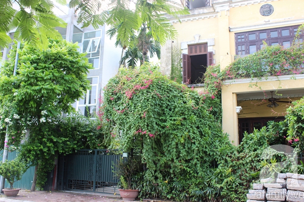 Những ng&ocirc;i nh&agrave; xanh tuyệt đẹp nhờ c&acirc;y cảnh ở H&agrave; Nội 7
