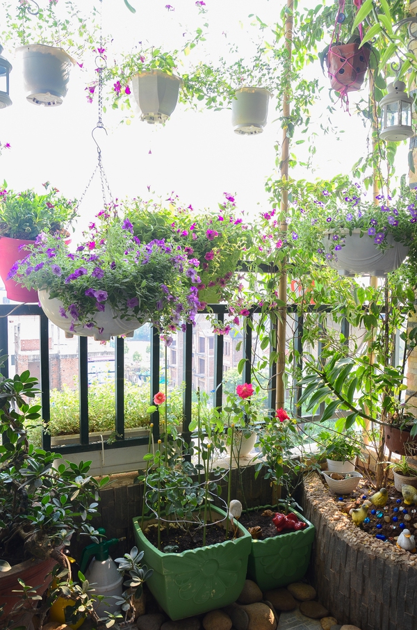 Ngắm căn hộ có góc vườn truyền cảm hứng cho cả khu chung cư ở Hà Nội 5