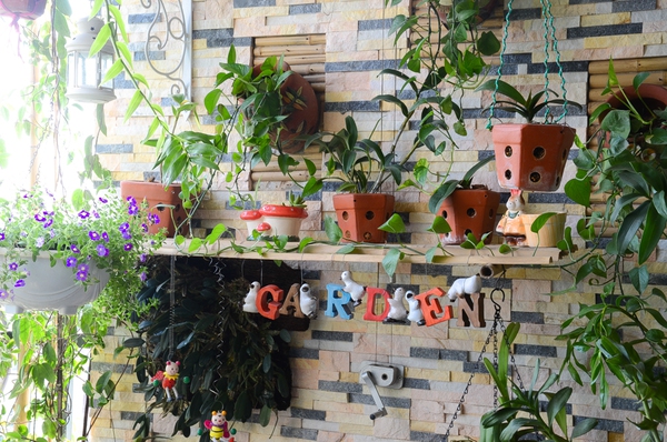 Ngắm căn hộ có góc vườn truyền cảm hứng cho cả khu chung cư ở Hà Nội 9