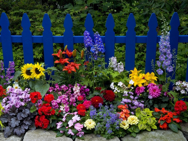 Những hàng rào hoa đầy cảm hứng cho ngôi nhà 25