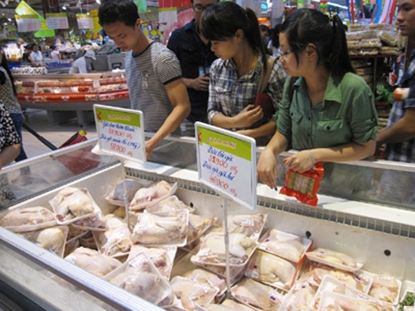 Gà nhập Hàn Quốc là 'gà loại thải' chứ không chỉ là 'gà dai' 1