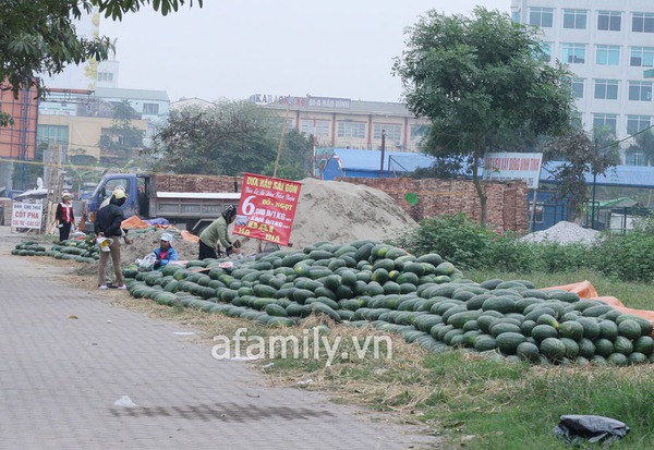 Tràn ngập dưa hấu “rẻ như cho” 1