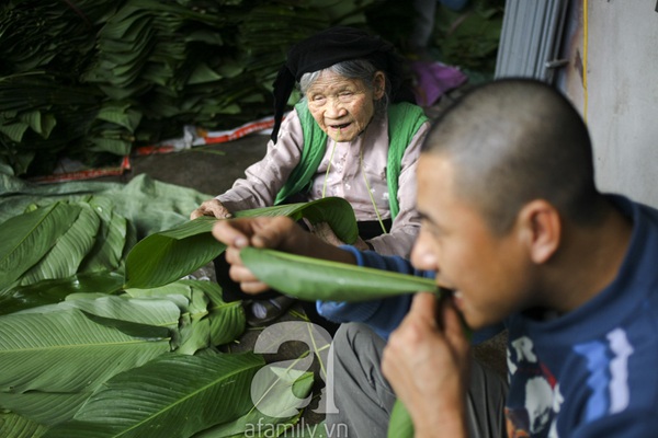 Cận cảnh một 