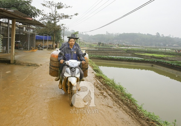 Cá chép cúng ông Táo trước giờ “xuất quân” 16