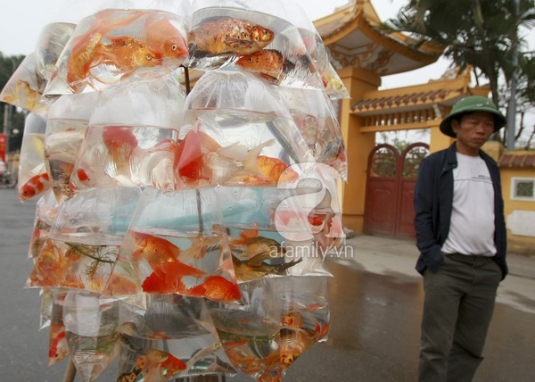 Nhộn nhịp sắm sửa ngày tiễn Nhộn nhịp sắm sửa ngày tiễn
