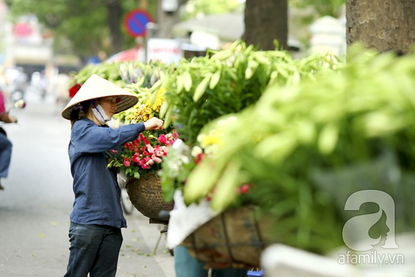 Có một Hà Nội tinh khôi như mùa loa kèn nở... 11