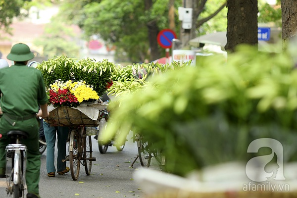 Có một Hà Nội tinh khôi như mùa loa kèn nở... 10