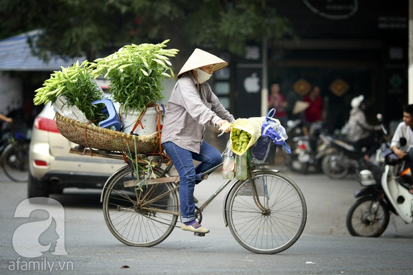 Có một Hà Nội tinh khôi như mùa loa kèn nở... 13