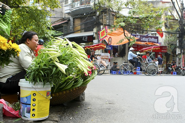 Có một Hà Nội tinh khôi như mùa loa kèn nở... 4