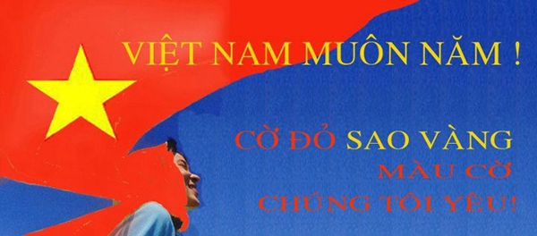 Sốt mạng ảnh 