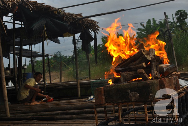 Đời 