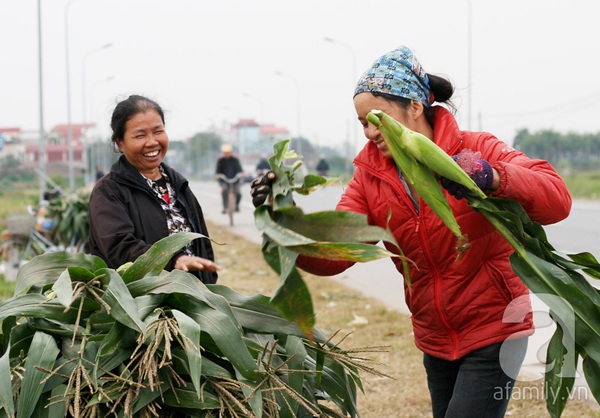 Hà Nội: Chân dung những người phụ nữ bán ngô luộc, thu về 30 triệu đồng/tháng 2