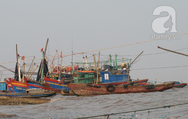 Thanh Hóa: Sẵn sàng mọi phương án phòng chống siêu bão 2
