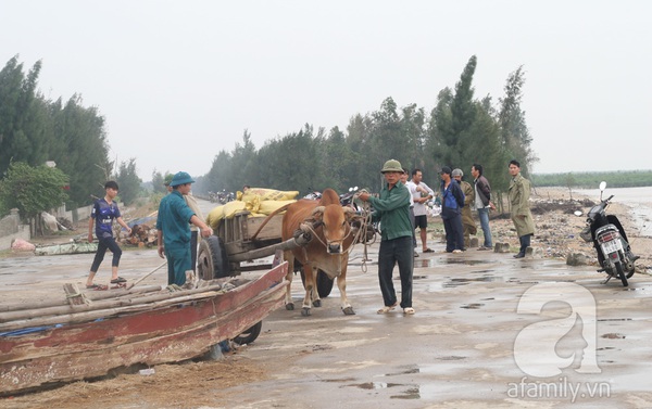 22h đêm nay, siêu bão Haiyan sẽ vào tới vùng biển Thanh Hóa-Hải Phòng 6