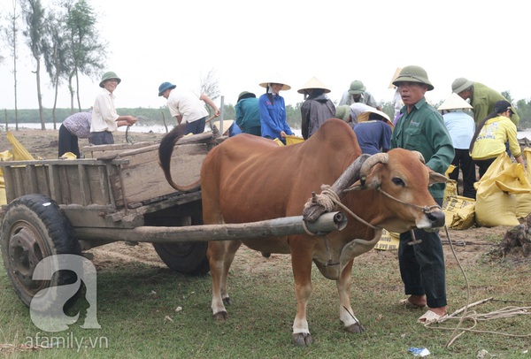 22h đêm nay, siêu bão Haiyan sẽ vào tới vùng biển Thanh Hóa-Hải Phòng 5