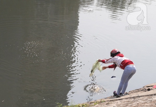 Chùm ảnh: Người Hà Nội nô nức thả cá chép tại sông Tô Lịch 8