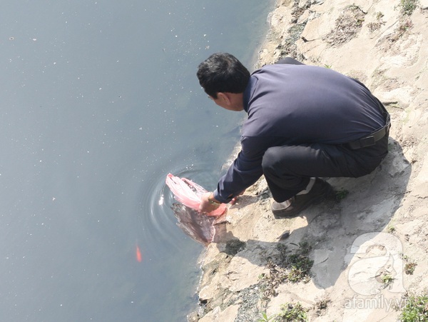 Chùm ảnh: Người Hà Nội nô nức thả cá chép tại sông Tô Lịch 9