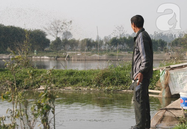 Nam Định: Làng nuôi cá chép đỏ tất bật trước ngày tiễn Táo quân về trời 5