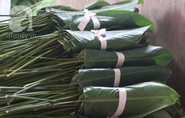 Về nơi hiếm hoi ở Hà Nội trồng lá dong gói bánh chưng kiếm cả trăm triệu dịp Tết 11