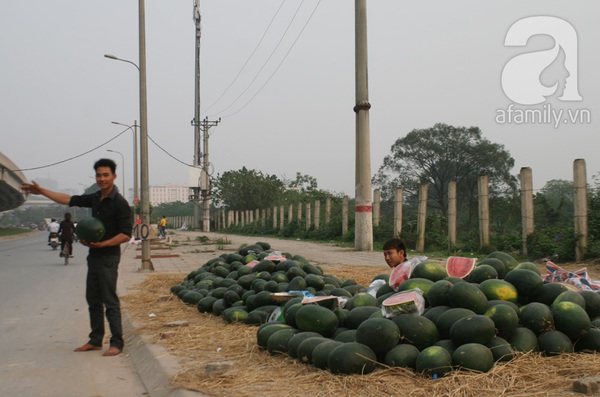 Dưa hấu ùn ứ tại cửa khẩu Tân Thanh đã 