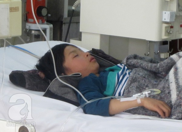 Vụ ngộ độc nấm tại Thái Nguyên: 1 bệnh nhân tử vong, thêm 5 bệnh nhân phải xuống cấp cứu 1