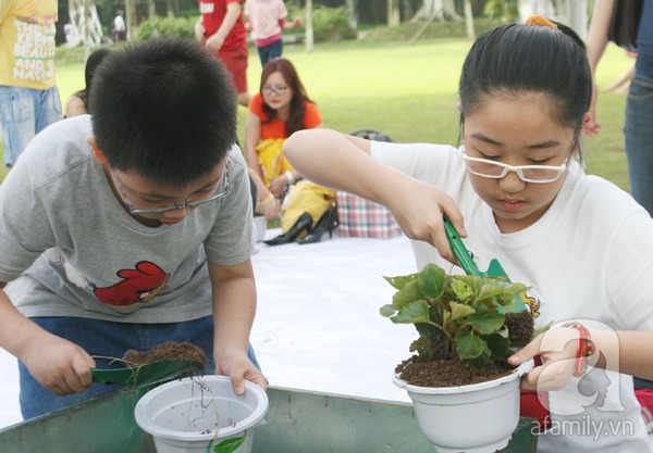 Người dân dựng 