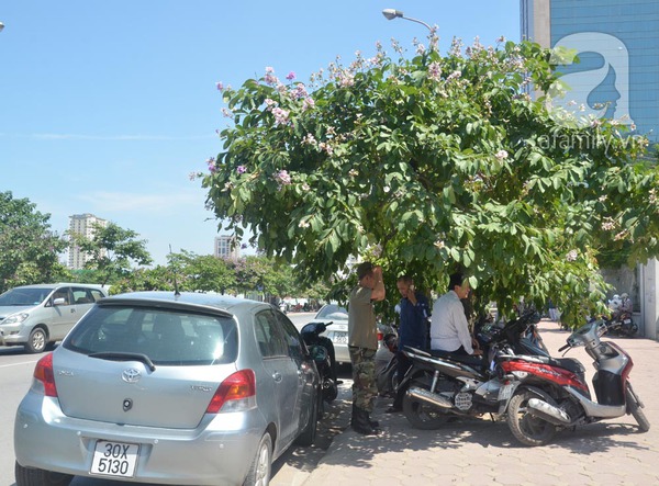 Giàn khoan Hải Dương 981 vào đề thi Văn, thí sinh hứng thú 9