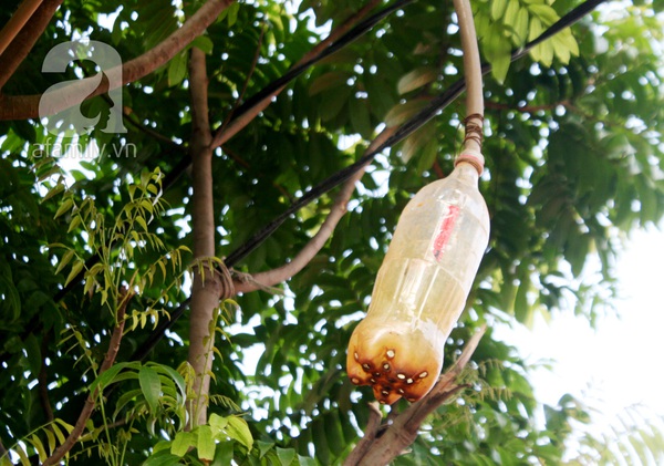 80 gia đ&igrave;nh sống bằng nước pha b&ugrave;n v&agrave;ng kh&egrave; ngay giữa H&agrave; Nội 6