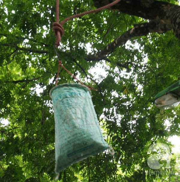 Kiếm 5 triệu đồng/ng&agrave;y nhờ nghề bẻ sấu tại H&agrave; Nội 4