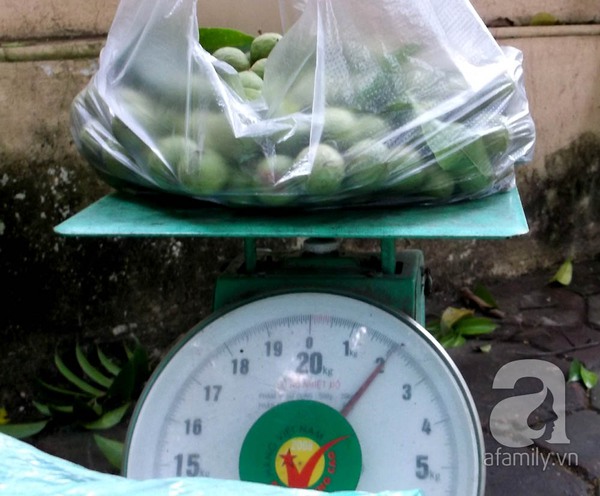 Kiếm 5 triệu đồng/ng&agrave;y nhờ nghề bẻ sấu tại H&agrave; Nội 8