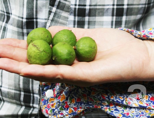 Kiếm 5 triệu đồng/ng&agrave;y nhờ nghề bẻ sấu tại H&agrave; Nội 7