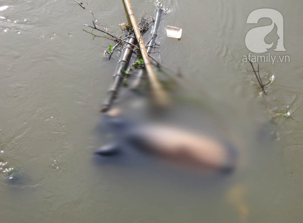 Phát hiện xác phụ nữ khoảng 30 tuổi phân hủy trên sông 2