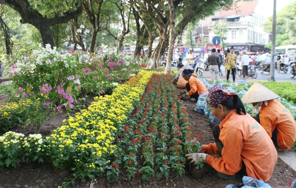 Hà Nội trang hoàng chào đón 60 năm ngày giải phóng Thủ đô 8