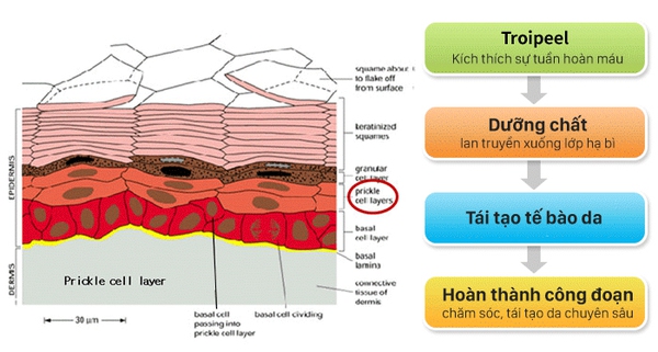 tẩy da chết