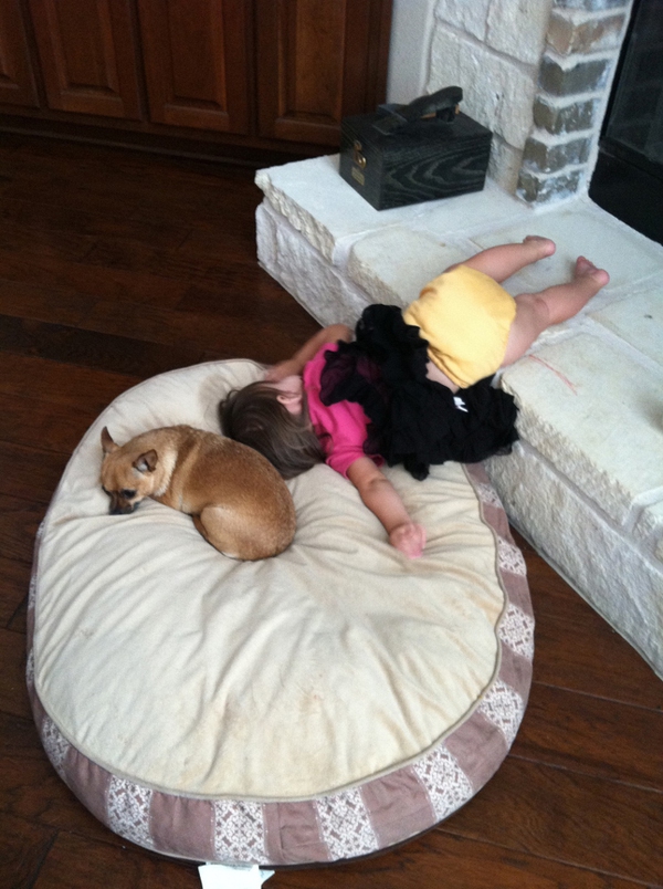 Kh&ocirc;ng thể nhịn cười với c&aacute;c tư thế ngủ 