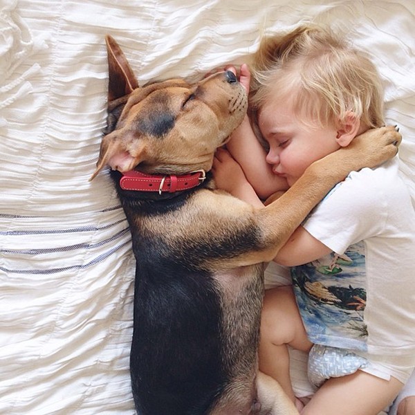 "Tan chảy" với hình ảnh ngủ trưa của hai nhóc con và chú chó Theo nổi tiếng 1