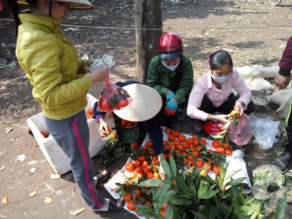 chợ Tết